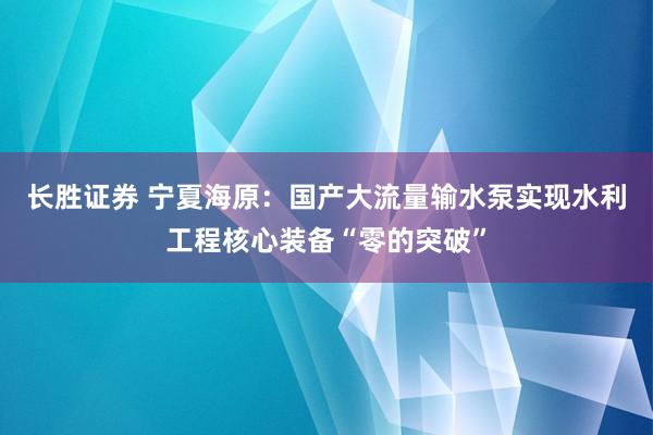 长胜证券 宁夏海原：国产大流量输水泵实现水利工程核心装备“零的突破”