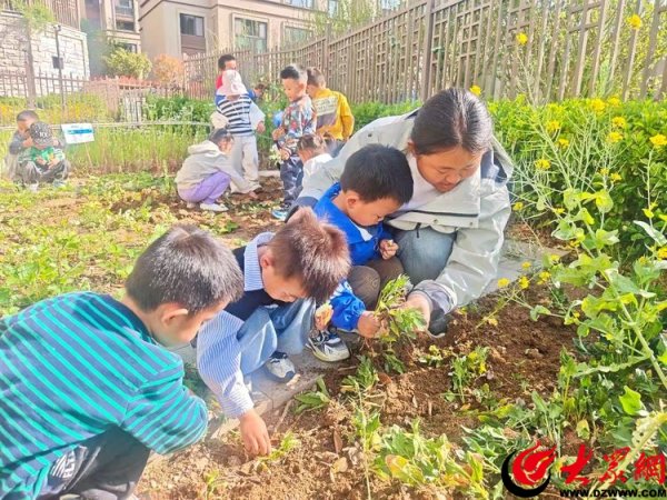 诚利和 “趣”劳动  “悦”成长——青岛西海岸新区藏马山居幼儿园五一劳动节主题活动
