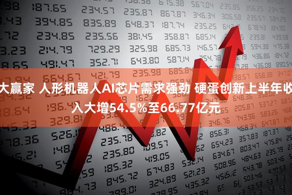 大赢家 人形机器人AI芯片需求强劲 硬蛋创新上半年收入大增54.5%至66.77亿元