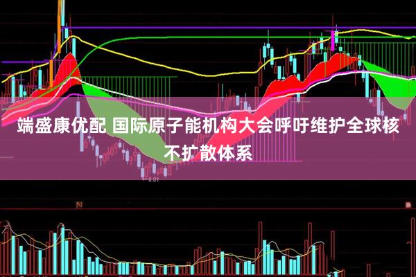 端盛康优配 国际原子能机构大会呼吁维护全球核不扩散体系