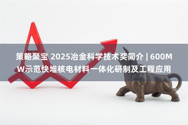 策略聚宝 2025冶金科学技术奖简介 | 600MW示范快堆核电材料一体化研制及工程应用